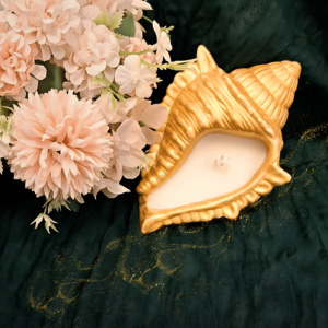 Gypsum Sea Shell - Image 2