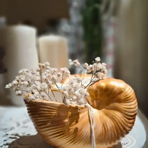 Handcrafted Decor Shell